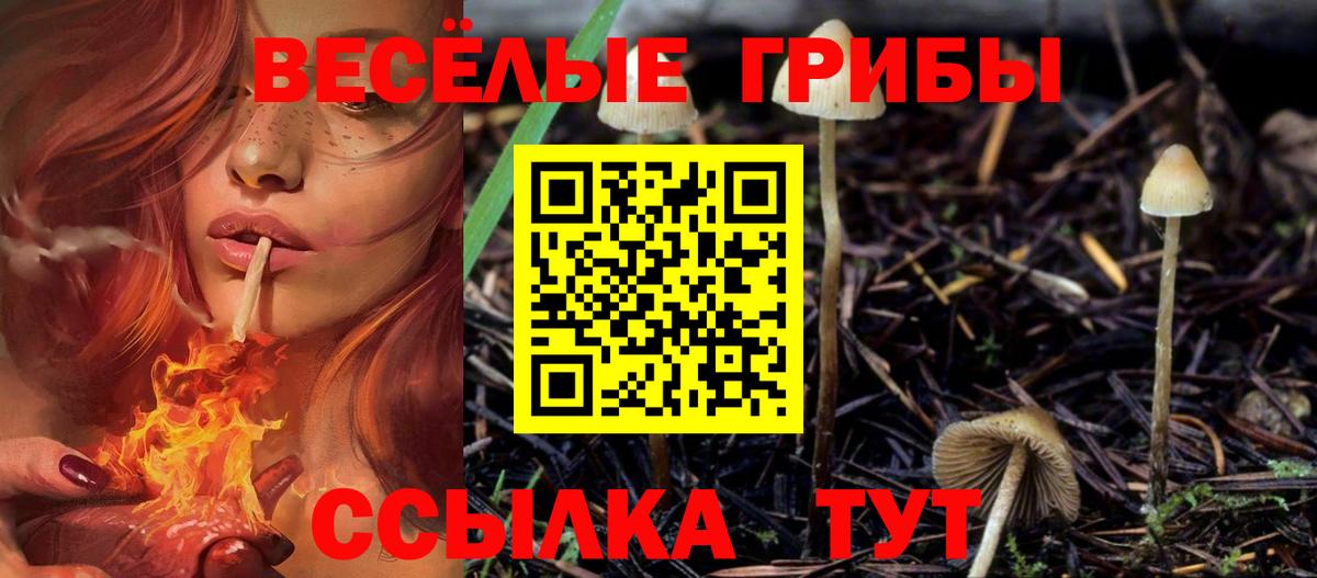 Галлюциногенные грибы Magic Shrooms  Вход с VPN  Качканар 